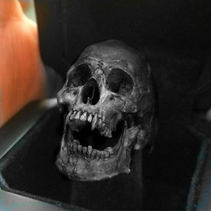 Close-up of vintage skull ring with distressed texture in a black jewelry display box