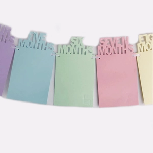 Colorful monthly baby photo banner for birthday decor featuring macaron frames