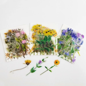 Detail of waterproof transparent PET floral stickers with roses and sunflowers for journaling