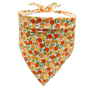Detail of cotton dog bandana featuring vibrant orange and lemon fruit patterns on white