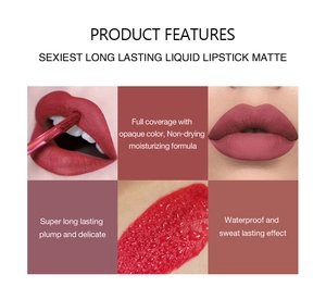 Matte liquid lipstick waterproof long lasting makeup full coverage nude lip gloss 1 piece pack