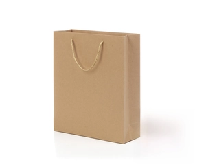 Detailed view of brown kraft paper flower gift bag with sturdy golden twist rope handles