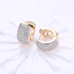 Elegant gold hoop earrings with sparkling zircon stones on a soft petal background