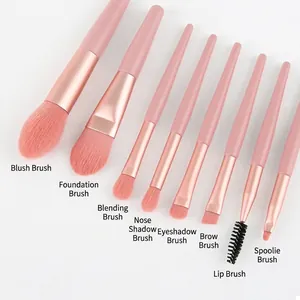Pale pink 9-piece makeup brush set with rose gold tubes and assorted fiber bristles