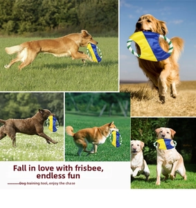 Action shots of various dogs jumping and catching the colorful rope flying disc toy on grass