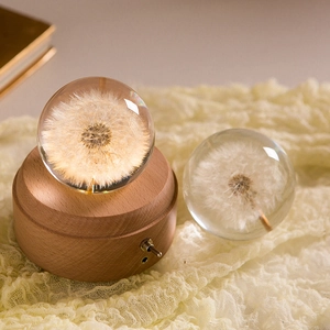 Elegant dandelion crystal ball with wooden base and warm light on beige fabric