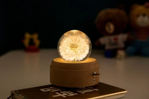 Detail of wooden base with USB port and love engraving for dandelion crystal ball