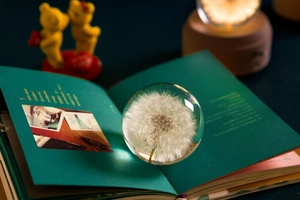 Close-up of a preserved dandelion specimen inside a clear crystal sphere on an open book