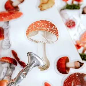 Creative mushroom PET stickers for journaling with vintage botanical illustrations