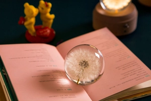Macro shot of dandelion crystal ball on a pink book with warm LED wooden base