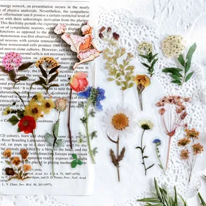 Floral PET stickers featuring fairy and botanical designs for DIY journaling and scrapbooking
