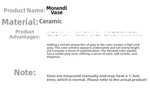 Specificaties van de Morandi keramische vaas inclusief materiaal en maatafwijking