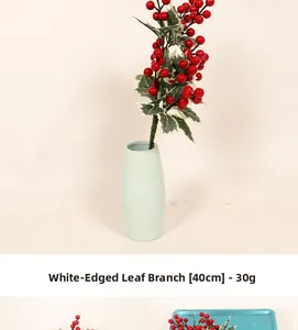 Détail d'une branche de baies rouges de 40cm avec feuilles bordées de blanc
