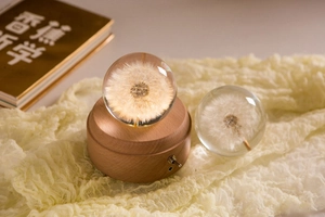 Macro detail of dandelion crystal ball night light with wooden base and toggle switch