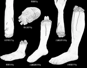 Detailed chart of Halloween severed limbs props with weights and bloody line art style