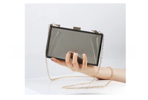 Close-up of smoky grey acrylic evening clutch with gold metal frame and chain strap
