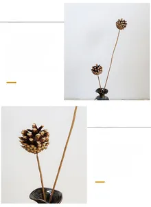 Macro detail of natural dried pine cone branches in a dark ceramic vase for home decor