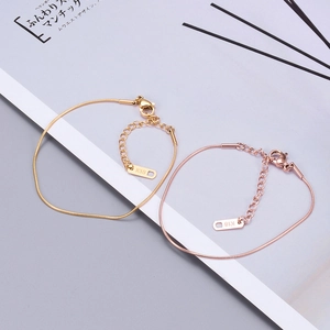 Minimalist Snake Chain Anklet Bracelet Titanium Steel 18K Gold Plated Adjustable Jewelry For Women Elegant Simple Style