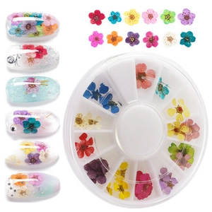 Macro detail of assorted real dried flowers for nail art in a twelve-grid storage case