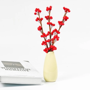 Steli di bacche rosse artificiali in un vaso di ceramica con libro su sfondo bianco