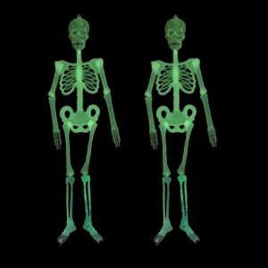 Glow in the dark Halloween skeleton decorations with green luminous effect for KTV decor