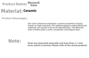 Dettagli del vaso in ceramica Morandi con tolleranza di 1-3 cm e finitura opaca elegante