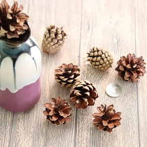 Natural brown pine cones for DIY crafts and decor on a light wood surface with coin scale