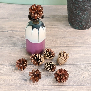 Natural Pine Cones Dried Wood For Christmas DIY Craft Holiday Table Decor Rustic Autumn Theme