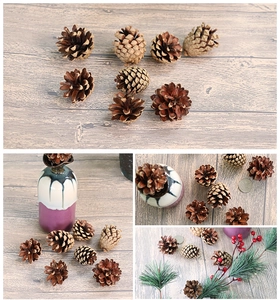 Natural 4-5cm pine cones for DIY crafts and Christmas decor with size comparison