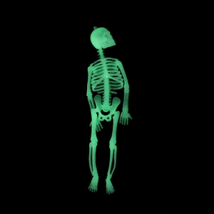 Luminous Halloween skeleton prop with full body joints glowing green in dark background