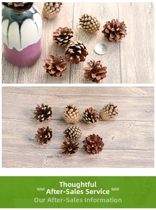 Detail of natural dried pine cones for DIY crafts next to a coin for size reference