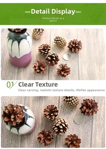 Macro detail of natural decorative pine cones showing clear textures and carving details