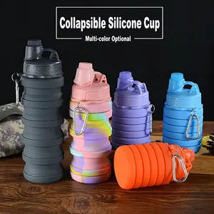 Collapsible Silicone Water Bottle BPA Free Foldable Sports Travel Portable Leakproof With Carabiner