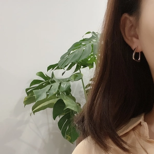 Silver geometric metal earrings on model with green plant background