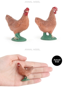 Detailed realistic hen animal model with feather texture and actual size hand scale
