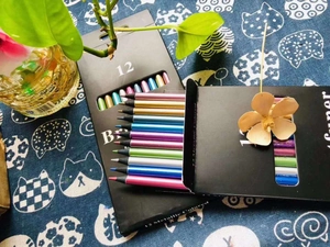 Close-up of 12 metallic colored pencils with black wood and shimmering pigment leads