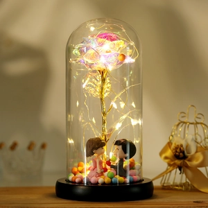 Single 24k gold foil rose in glass dome with LED lights and couple figurines decor