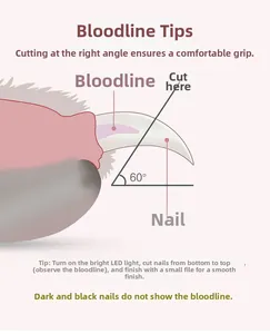 Guide du coupe-ongles pour animaux avec angle de 60 degrés et détection LED des veines