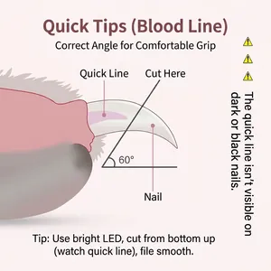 Coupe-ongles LED pour animaux avec guide de coupe à 60 degrés et lame en acier