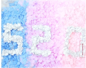 Artificial rose petals in blue, purple, pink, and white forming a decorative 520 shape