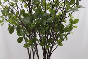 Close-up of realistic artificial Milan leaves with detailed green oval foliage texture