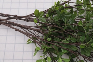 Detailed macro shot of artificial green Milan leaves with realistic brown stems for decor