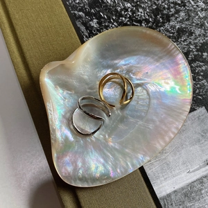 Minimalist 925 silver double-line irregular rings displayed inside a shell