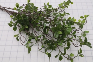 Detail of artificial Milan leaf stem with green oval leaves on white grid background