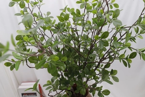 Close-up of lifelike artificial Milan leaves with detailed green foliage and brown stems