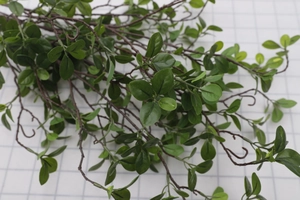Detailed macro view of artificial Milan leaves with realistic green foliage and brown branches