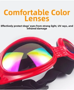 Close-up of pet goggles with rainbow lenses and red frame for UV and wind protection