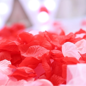 Artificial red and pink silk rose petals for romantic wedding and proposal decorations