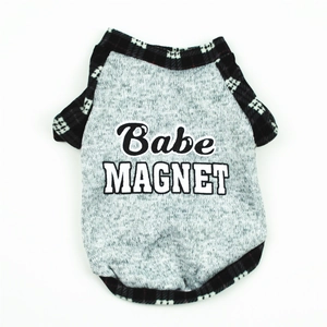 Close-up of gray pet sweatshirt with Babe MAGNET print and checkered ribbed edges