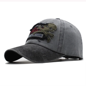 Gewaschene graue Baseballkappe mit Vintage-Skelett-Stickerei und Used-Look-Krempe